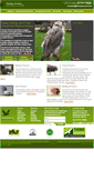 Mobile Screenshot of falconryservices.co.uk